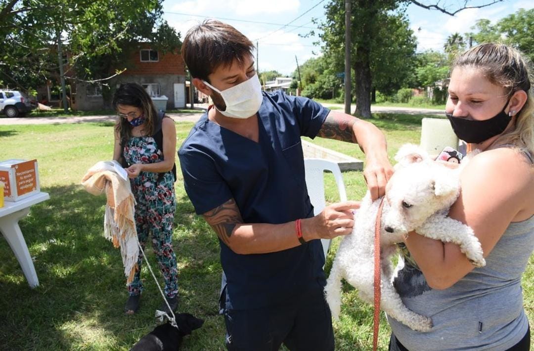 La Atención Veterinaria cambia de lugar para recibir a sus pacientes